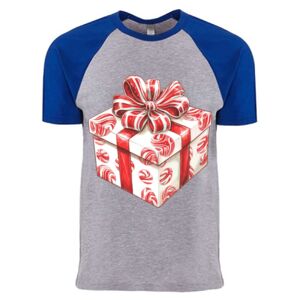 Cotton Raglan T-Shirt Thumbnail