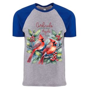 Cotton Raglan T-Shirt Thumbnail