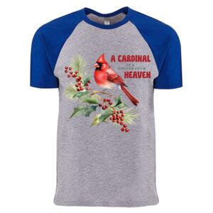 Cotton Raglan T-Shirt Thumbnail