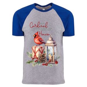 Cotton Raglan T-Shirt Thumbnail