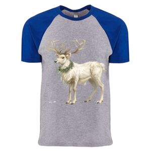 Cotton Raglan T-Shirt Thumbnail