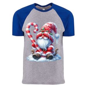 Cotton Raglan T-Shirt Thumbnail