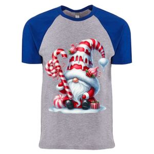 Cotton Raglan T-Shirt Thumbnail