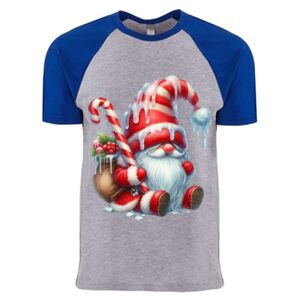 Cotton Raglan T-Shirt Thumbnail