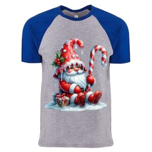Cotton Raglan T-Shirt Thumbnail