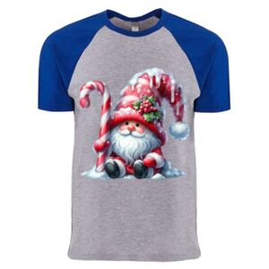 Cotton Raglan T-Shirt Thumbnail