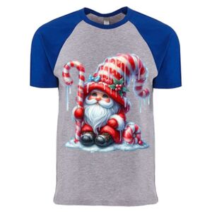 Cotton Raglan T-Shirt Thumbnail