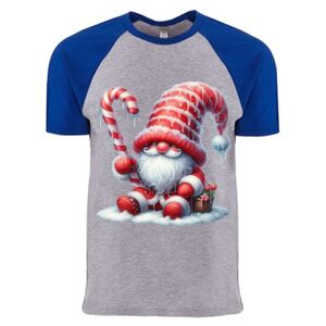 Cotton Raglan T-Shirt Thumbnail
