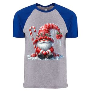 Cotton Raglan T-Shirt Thumbnail