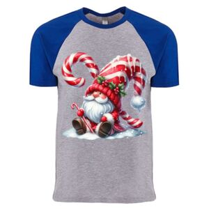 Cotton Raglan T-Shirt Thumbnail